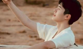 王俊凯写的作文 王俊凯写的作文